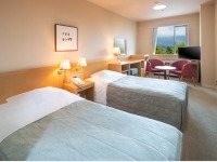 �c�C�����[��