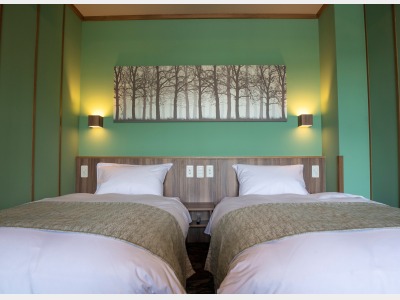 ツイン（一例）