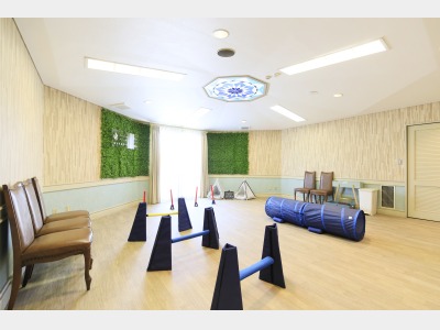 館内ドッグラン