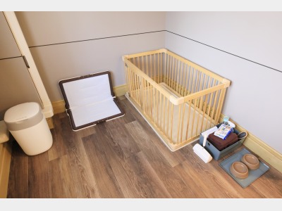 わんちゃん用備品イメージ