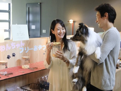 【ラウンジ】ワンちゃん用フリーおやつ