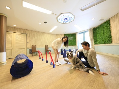 【屋内ドッグラン】