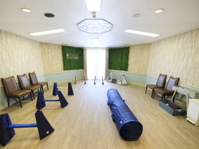 【屋内ドッグラン】