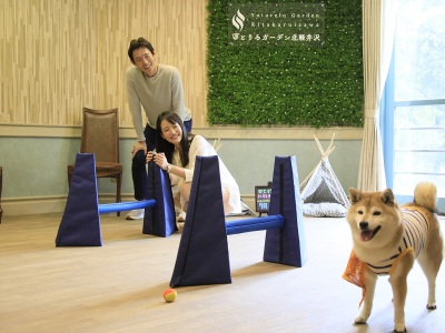 【屋内ドッグラン】