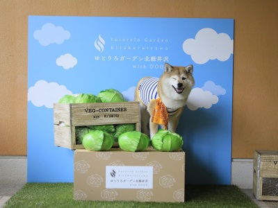 【フォトスポット】