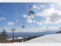 �z�e���O�ςƃQ�����f