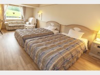 �q�����i�f���b�N�X�c�C���j