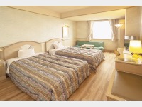 �q�����i�X�^���_�[�h�c�C���j