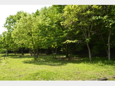 【屋外】キャンプサイト