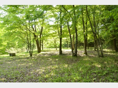 【屋外】キャンプサイト