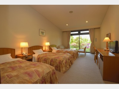 洋室トリプル※ソファーベッドで4名まで可