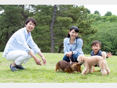 ログハウス(ペット同伴可)