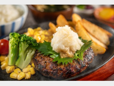 ランチ【和風おろしハンバーグ】