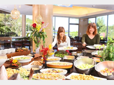 バイキング　イメージ