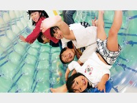 �L�b�Y�K�[�f���i�ʗ����j