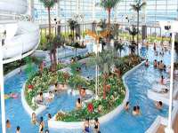 �A�N�A�p�[�N