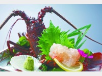 �ɐ��C�V�h�g