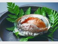 ����їx��Ă�