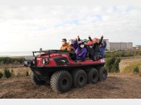 �A�[�S�i�ʗ����j