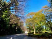 �z�e����