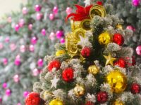 �N���X�}�X�c���[�@-�C���[�W-