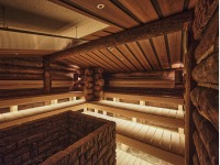 �����^�P���T�E�i