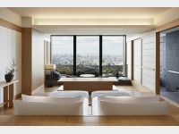 �c�C���i���j