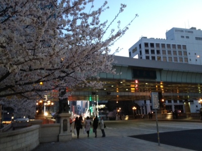 日本橋（春）