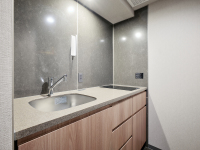 �X�[�w?���A�t�@�~���[���[��