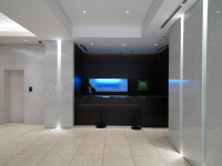 �C�r�X�X�^�C���Y����������r�[