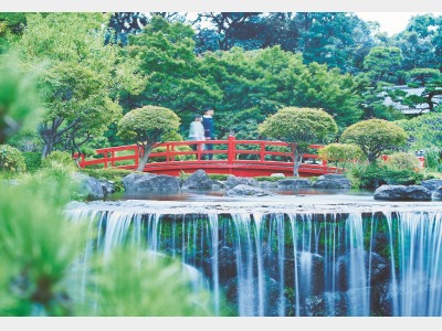 日本庭園 初夏