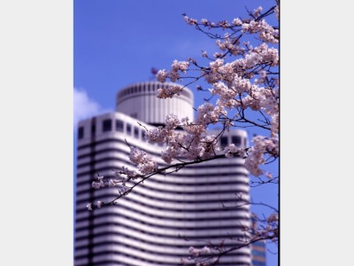 【ガーデンタワー】外観（春）