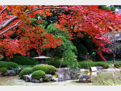 日本庭園（秋）