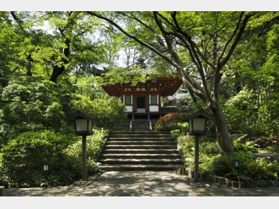 日本庭園（夏）