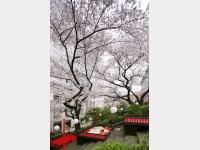{뉀itj