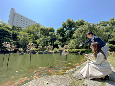 日本庭園体験_鯉の餌やり