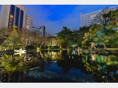 日本庭園（夜）