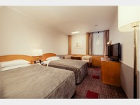 �c�C���i���j