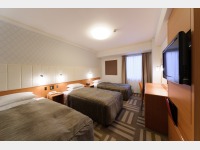 �g���v���i���j