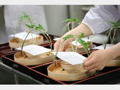 日本料理レストラン「あけくれ」料理イメージ4