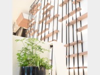 ���r�[_�t�����g�O3