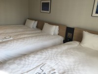 �g���v�����[��