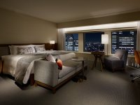 �v���~�A�O�����L���O���