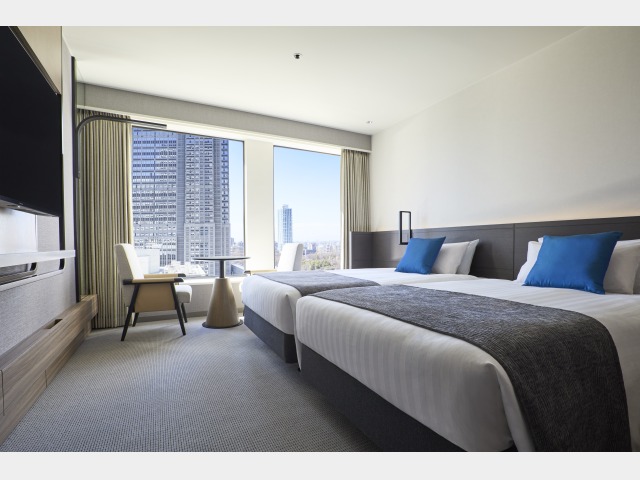 �v���U�X�^���_�[�h�c�C���i���j