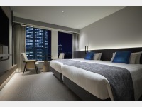 �v���U�X�^���_�[�h�c�C���i���j