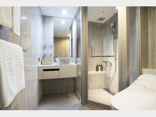 �v���U�X�^���_�[�h�c�C���i���j