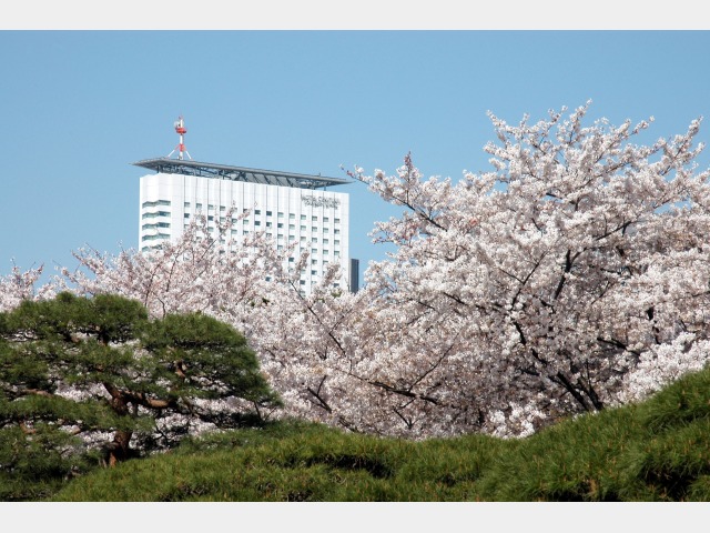 小田急ホテルセンチュリーサザンタワー 新宿御苑より眺む外観（イメージ）