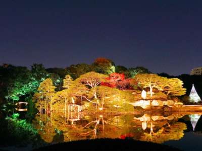 【六義園/秋】六義園の紅葉ライトアップ（池袋駅から３駅）