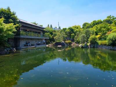 【目白庭園】四季折々の様々な自然や数寄建築など伝統文化を感じられる公園(池袋駅から1駅)
