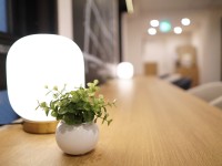 �y�{�݁z2�K���E���W